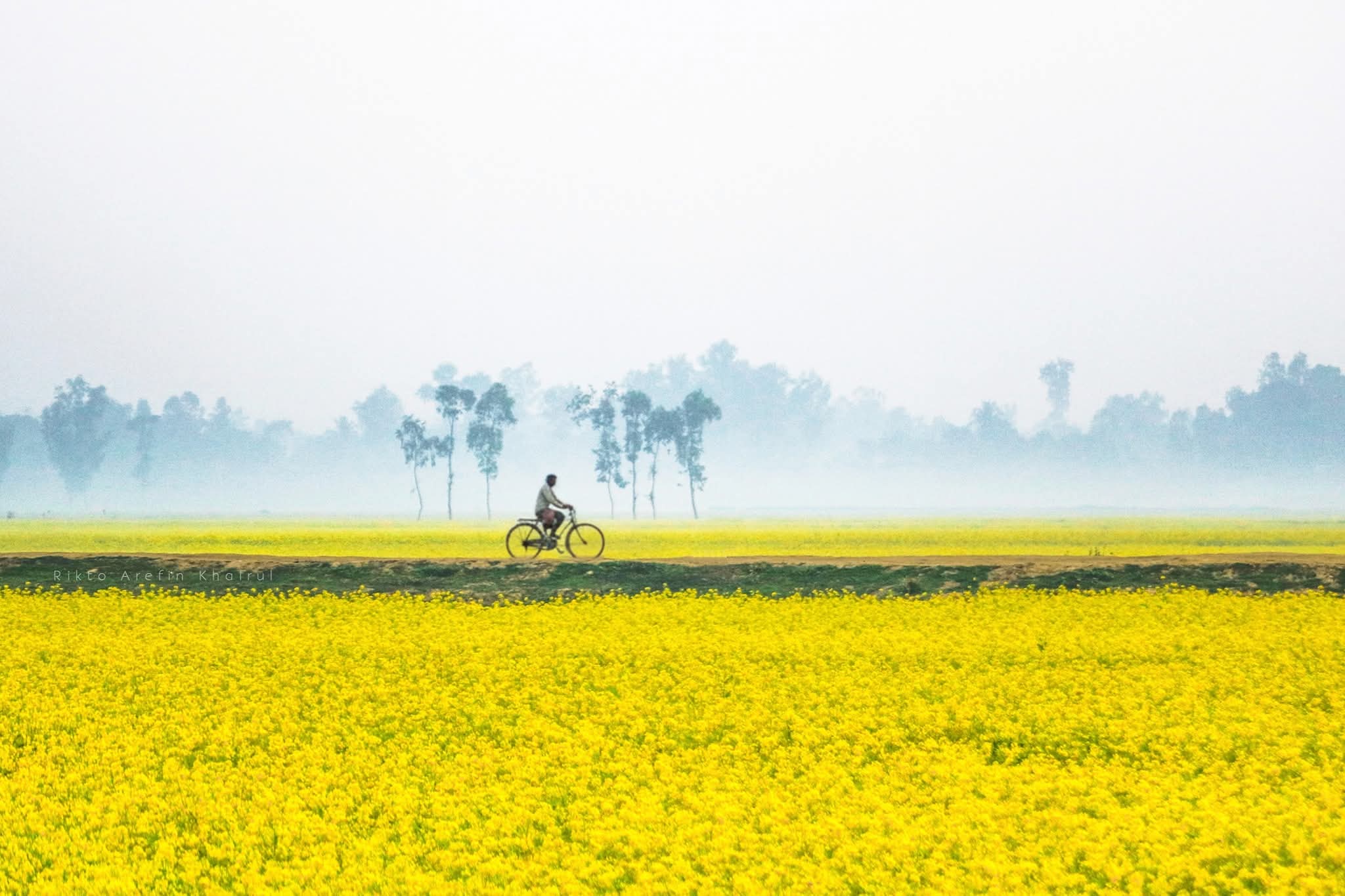 সরিষা ক্ষেতের সুন্দর দৃশ্য। সরিষা ফুলের সুন্দর ছবি। মেঠো পথে জীবনের ঘ্রাণ।💛
সিরাজগঞ্জ, বাংলাদেশ।