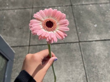 তুমি আমার জন্য একটা ফুল নিয়ে এসো।