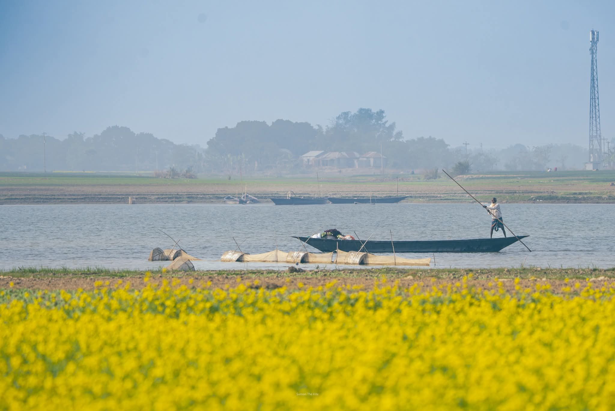 সরিষার হলুদে ভরা গ্রামবাংলার রূপ। গ্রাম বাংলার সুন্দর ছবি। গ্রাম বাংলার প্রাকৃতিক সুন্দর ছবি। সরিষা ফুলের সুন্দর ছবি।