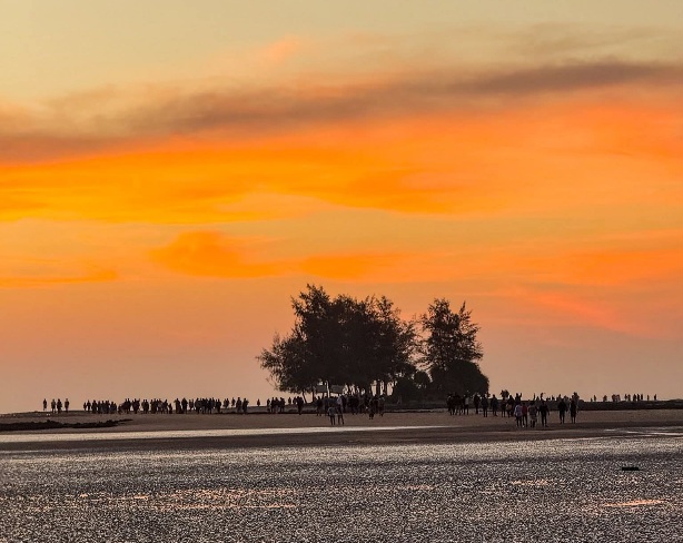 ছেড়া দ্বীপের সুন্দর দৃশ্য। ছেড়া দ্বীপের প্রাকৃতিক সুন্দর দৃশ্য। ছেড়া দ্বীপের সুন্দর ছবি।