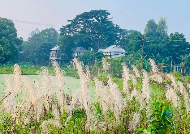 মুন্সীগঞ্জের শীতের সকালের দৃশ্য। বিক্রমপুরের সুন্দর দৃশ্য। মুন্সীগঞ্জের সুন্দর দৃশ্য।
#গ্রাম #ঘর #শীত #মুন্সীগঞ্জ #বিক্রমপুর