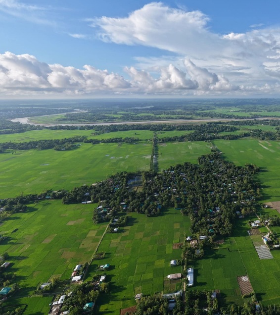Good morning everyone ✨🍒✨
Photo taken in Phansikhali area on the south side of Chakaria Matamuhari River