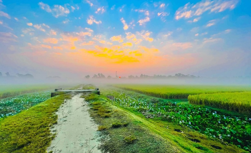 রোদ–কুয়াশার মায়ায় জেগে ওঠা মাঠ। গ্রাম বাংলার সুন্দর দৃশ্য। পল্লী গ্রামের সুন্দর ছবি।
