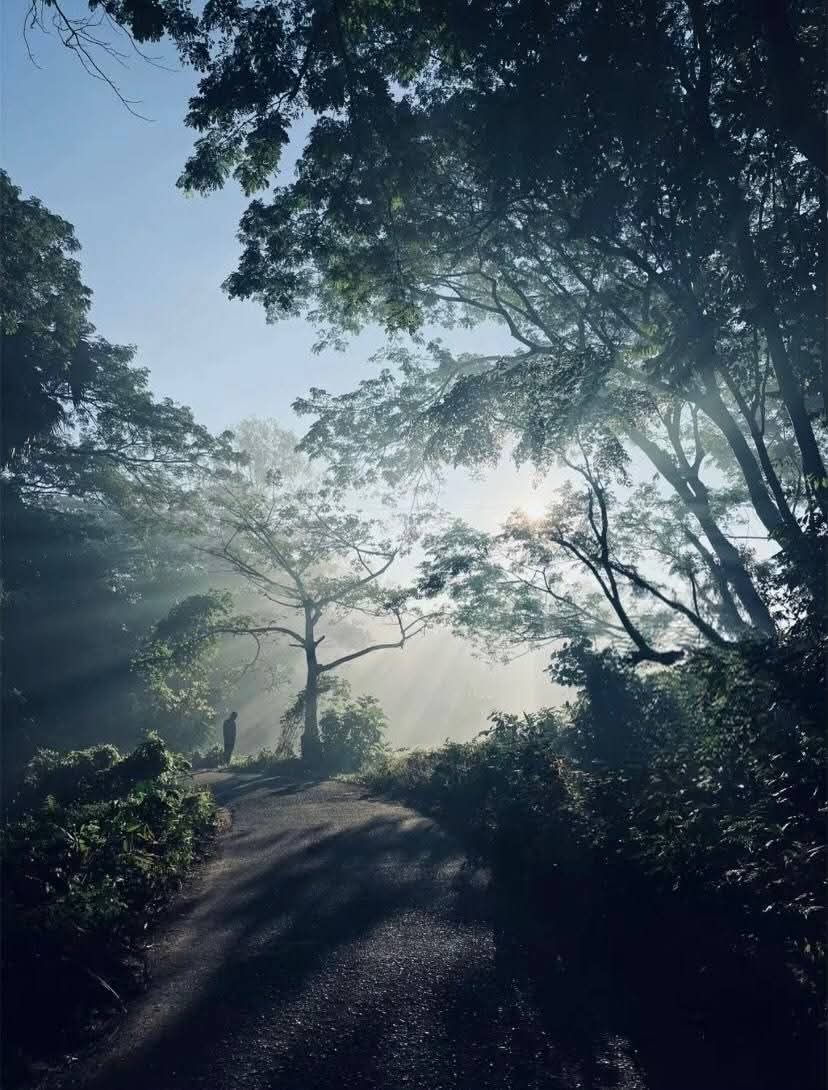 গ্রামের কুয়াশা আচ্ছন্ন শীতের সকাল টা একটু বেশি ই সুন্দর। কোলাহল মুক্ত পরিবেশ। 🌄