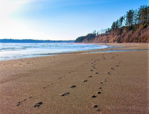 Pacific Rim National Park Reserve, British Columbia, Canada.