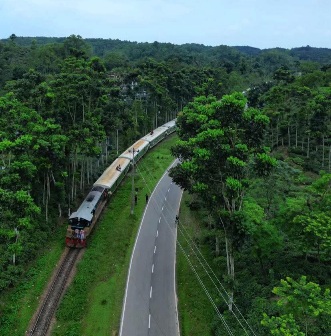 সিলেটের সবচেয়ে সুন্দর রেলপথ।🥰
#railway #Sylhet #Bangladesh