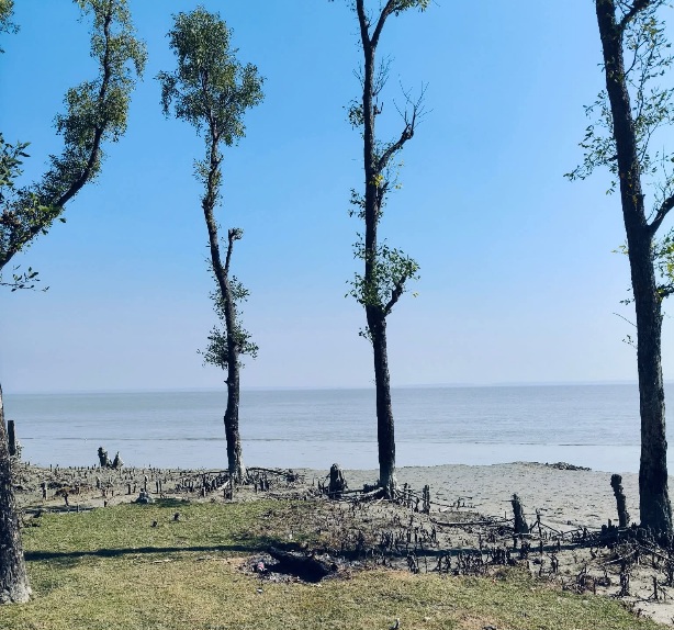 দখিনা হাওয়া সমুদ্রসৈকত, মনপুরা, ভোলা, বাংলাদেশ। ❤️
