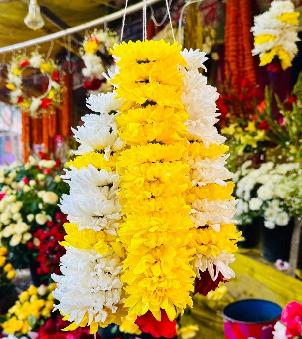 ফুল মেয়েদের অন্যরকম আবেগ চন্দ্রমল্লিকা।🌼🌸