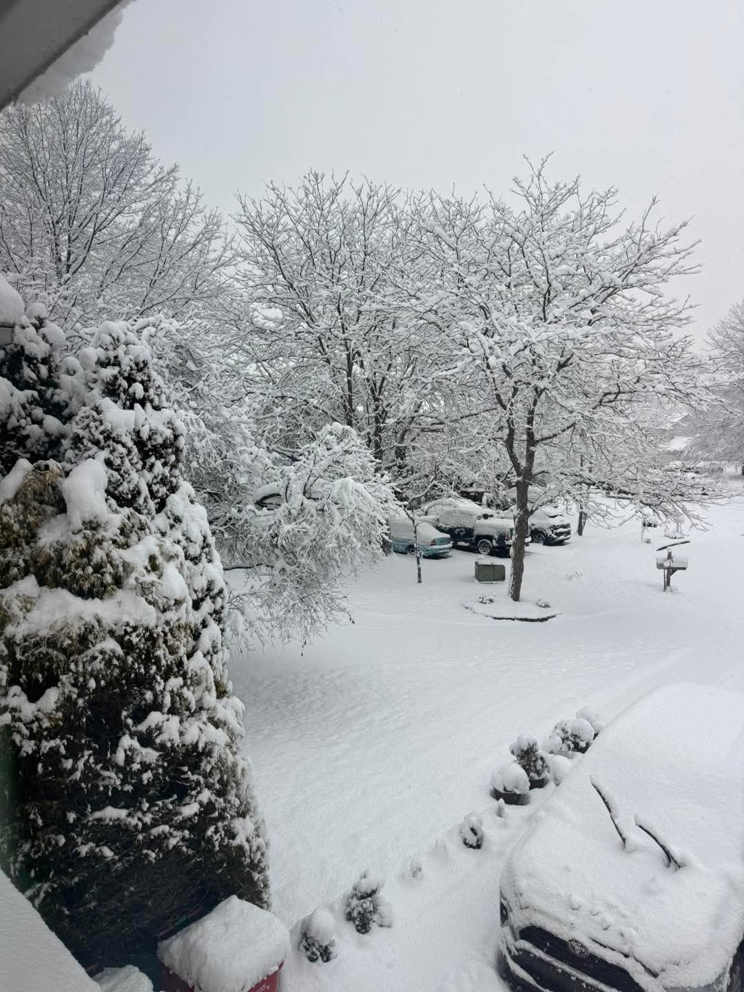 Beautiful Snow