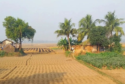 দৃশ্য দেখে মনে হয় ছুটে চলে যাই।🌿