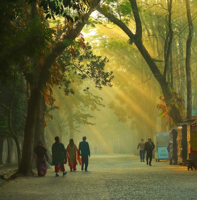 শীতের সকালে শহরের সুন্দর রাস্তা। পার্ক টু কাচারি রোড, ময়মনসিংহ, বাংলাদেশ।🇧🇩