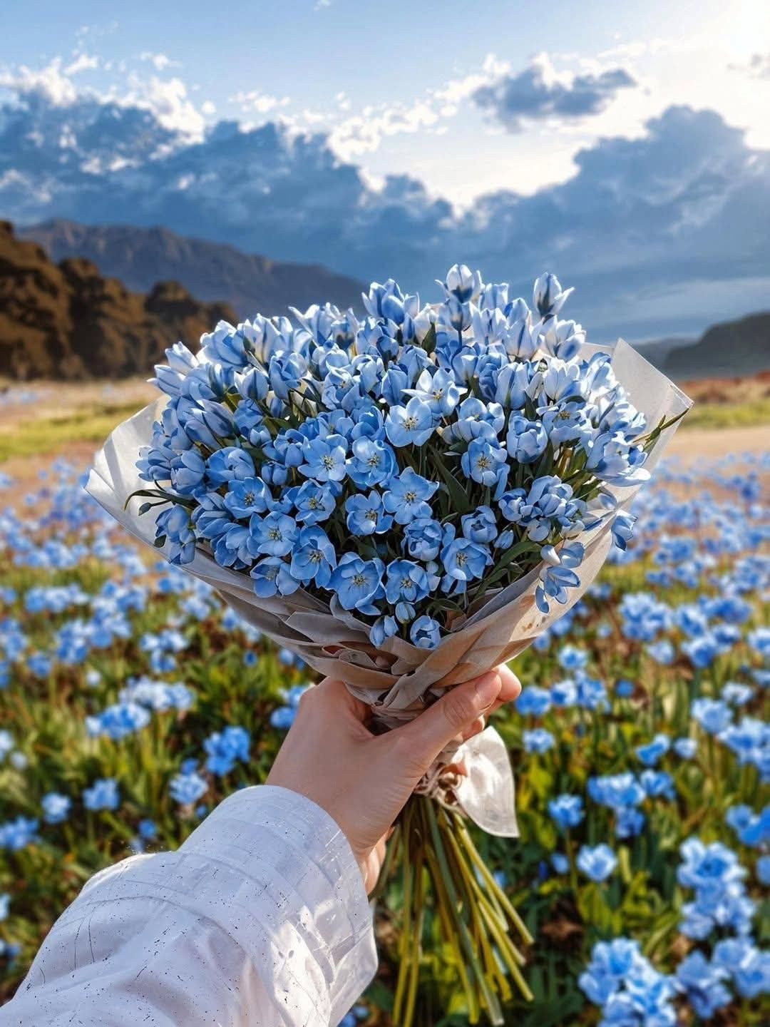 হাতভরা ফুল, মনভরা ভালোবাসা! 💙🌸