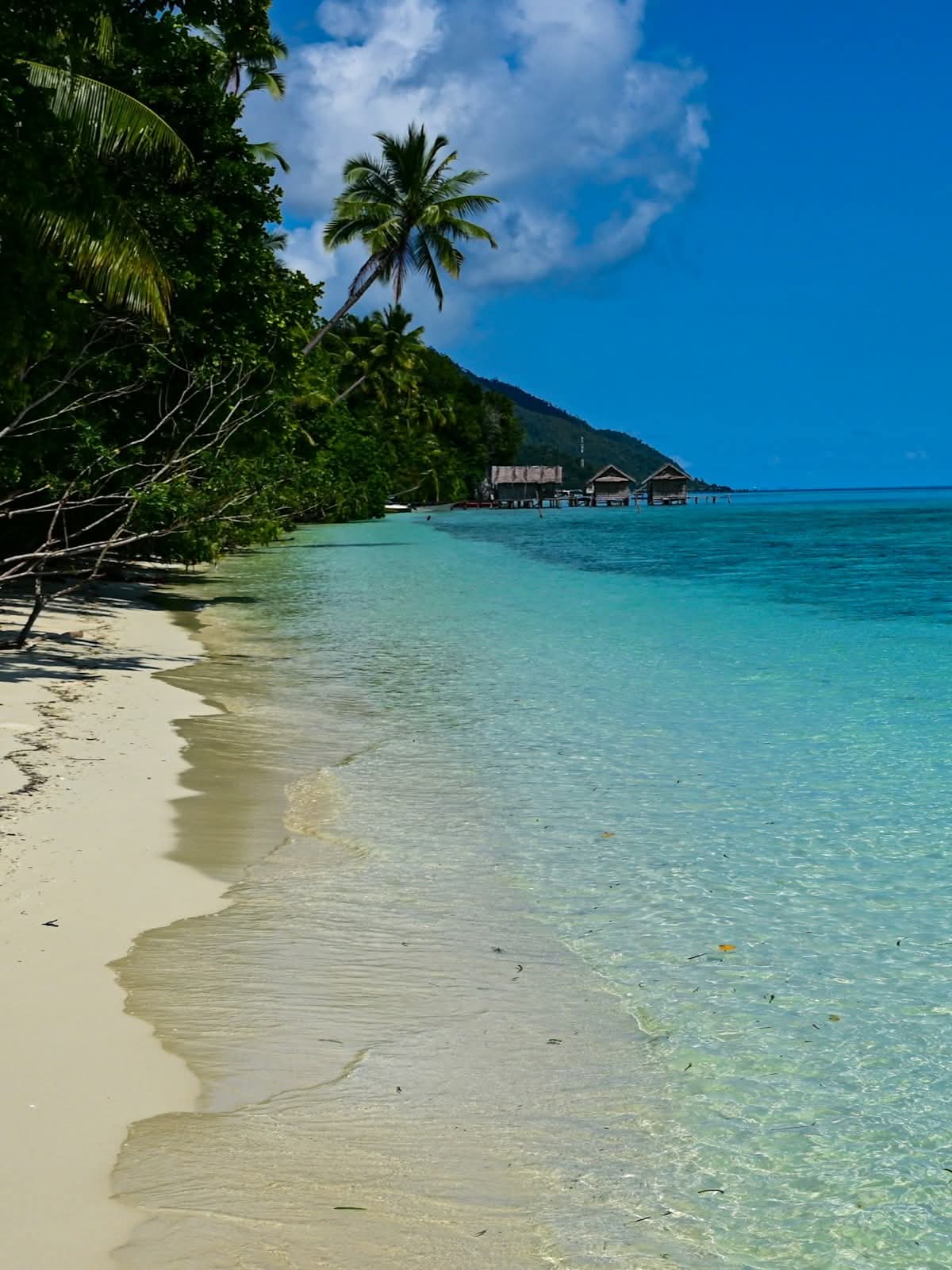 Raja Ampat Islands, Indonesia.
