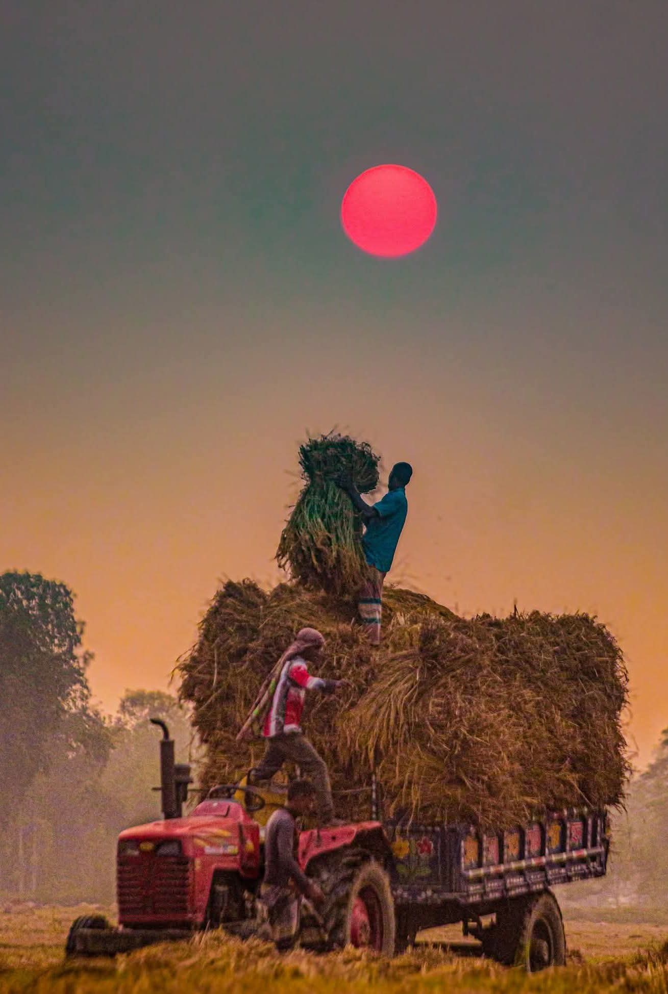 গ্রাম বাংলার মানুষের কর্মব্যস্ত জীবনের গল্প।🌅
