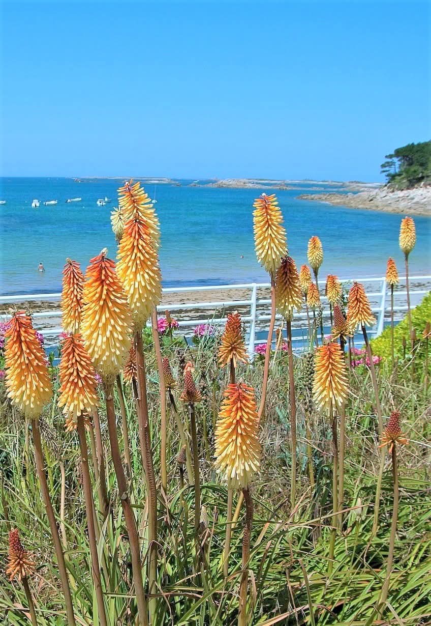 Marley Beach, New South Wales, Australia.