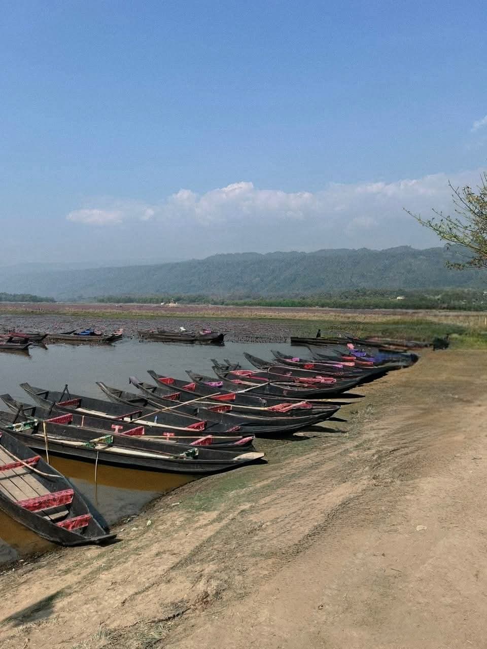 যাত্রীর জন্য অপেক্ষমান সারি সারি রং-বেরঙের নৌকার দেখা পাওয়া যায় সিলেটের ডিবির হাওর লাল শাপলার বিল।❤️