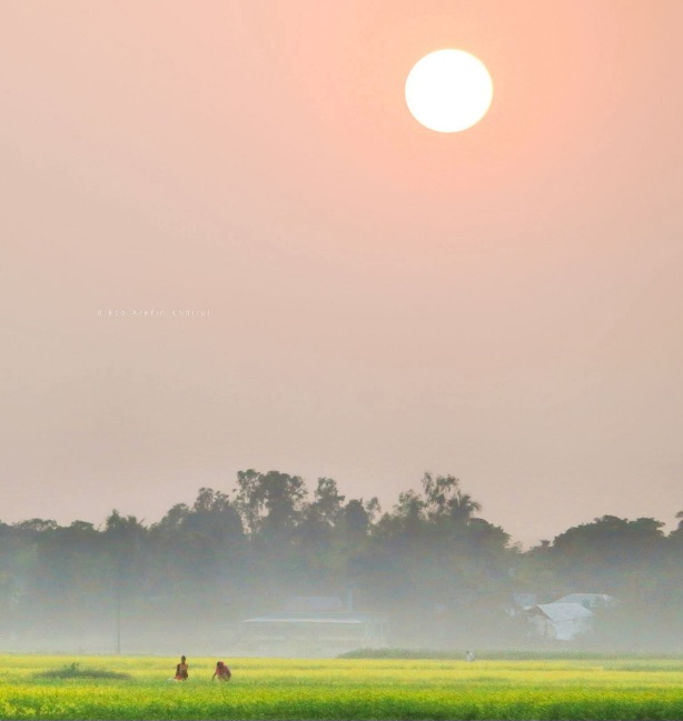 শীতের ক্যানভাসে বাংলাদেশ।🇧🇩
লাহেড়ী মোহনপুর, উল্লাপাড়া, সিরাজগঞ্জ।