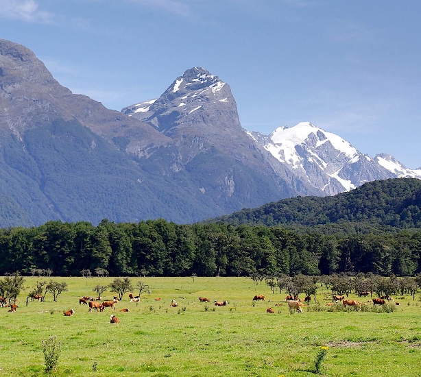 Glenorchy, New Zealand.