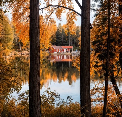 🍁 Lakeside cabin dreams in Dalarna, Sweden!