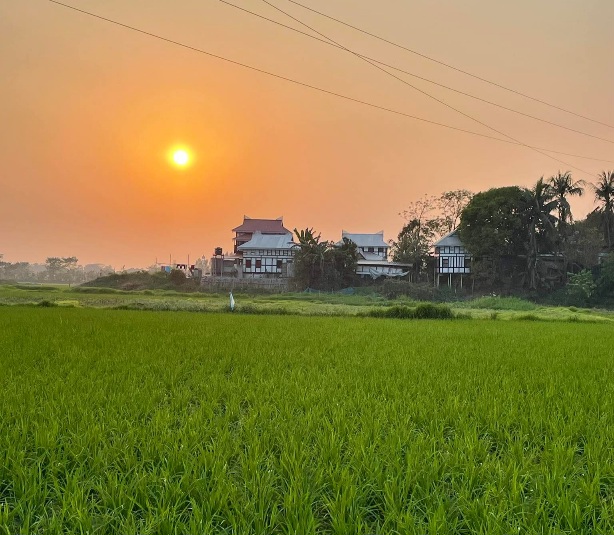 মুন্সীগঞ্জের গ্রামের বাড়ি। বিক্রমপুর, বাংলাদেশ।
#মুন্সীগঞ্জের #গ্রামের_বাড়ি #বিক্রমপুর #ফিউলুক #বাংলাদেশ
