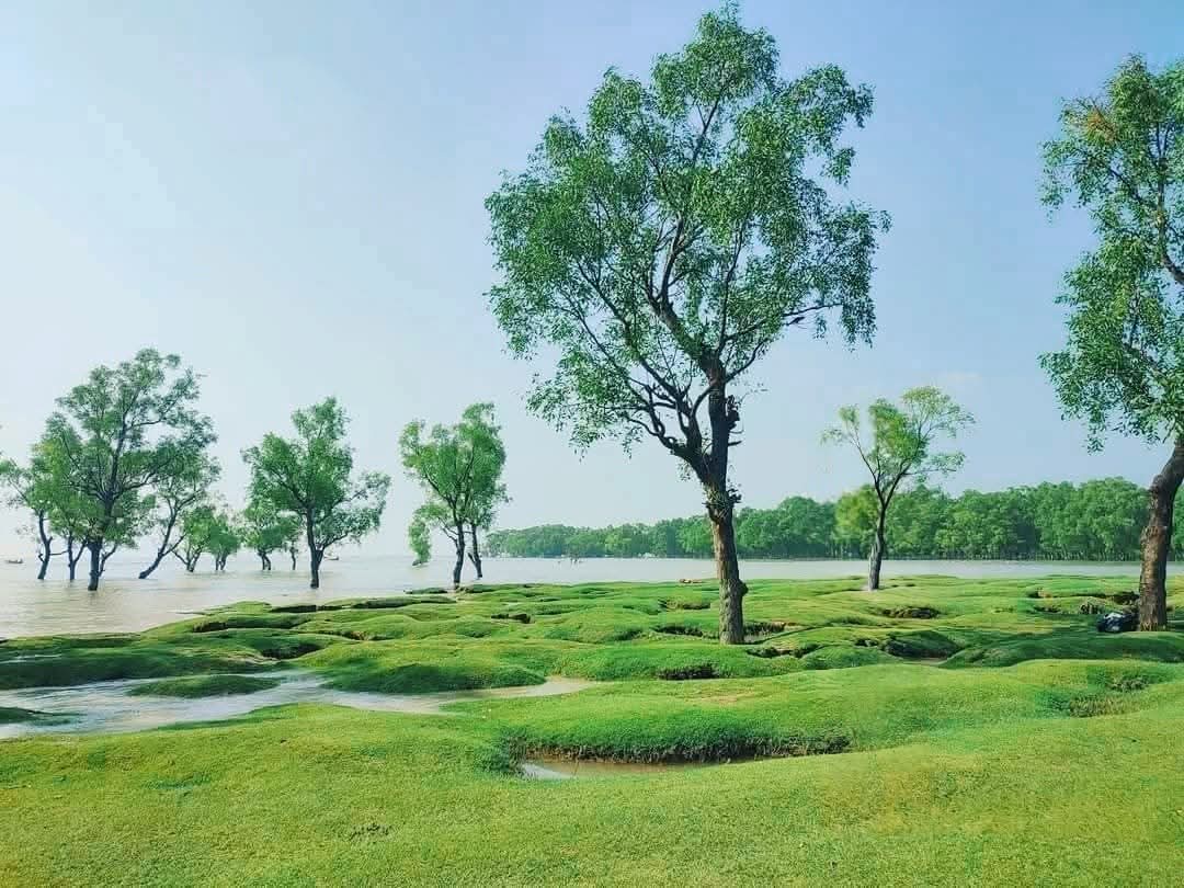 গুলিয়াখালি সমুদ্রসৈকতের সবুজ গালিচার সুন্দর দৃশ্য। ❤️
#গুলিয়াখালি #সমুদ্রসৈকত #ফিউলুক