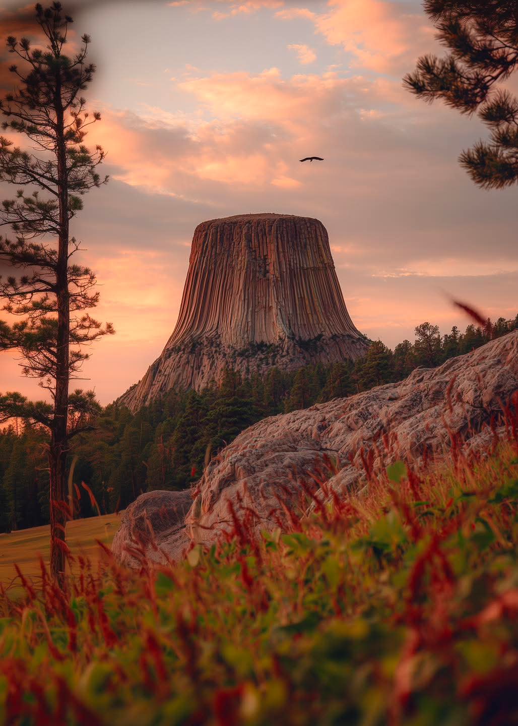 Devils Tower National Monument in Wyoming 😍
