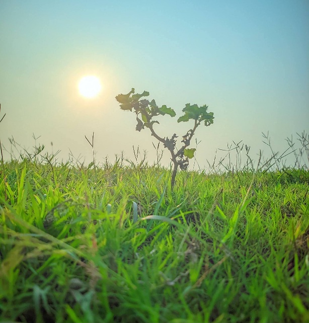 গোধূলি লগ্নে হাওরের মনোমুগ্ধকর দৃশ্য! 🌱🌾
#mylife #myvillage #viralchallenge #challenge #foryouシ #trending #highlight #follower