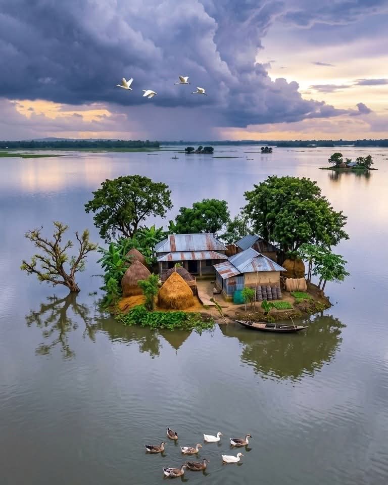 চারিদিকে অথৈ জল, মাঝে ছোট্ট এক দ্বীপের ঘর; মেঘের ডানায় চড়ে আসে শান্ত শীতল এক প্রহর।