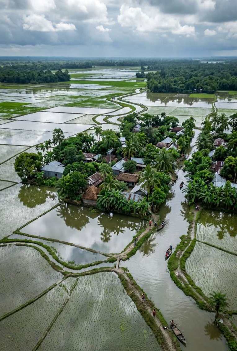 জলমগ্ন ধানক্ষেত:
বৃষ্টিতে ডুবে যায় সবুজ মাঠ।
আকাশের ছায়া পড়ে জলে।
ধান দোলে হালকা হাওয়ায়।
গ্রাম রূপ নেয় জলের চিত্রে।