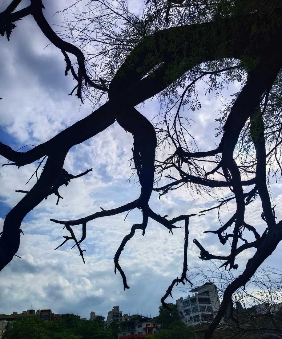 আষাঢ়ের মেঘের ফাঁকে হঠাৎ শরতের নীলিমা, যেন প্রকৃতি এক অপূর্ব মায়ায় বুনেছে তার নীল সীমানা।🤍🩵
#photooftheday #skylovers #weather #love #morningvibes #rainyday #phonephotography