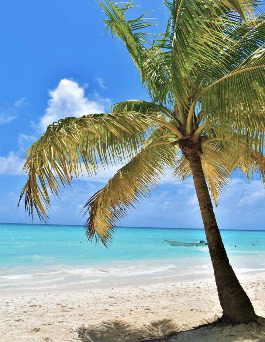 Dominican Republic Caribbean Sea.