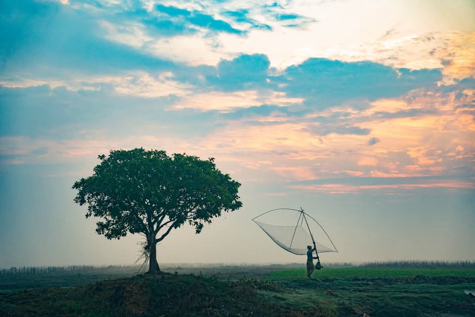 সন্ধ্যা নামার আগের মুহুর্তের গ্রাম বাংলার সুন্দর দৃশ্য।