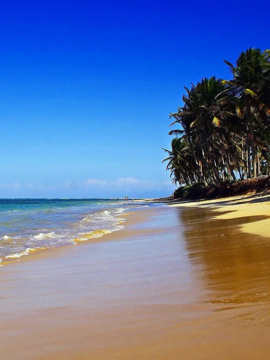 Bávaro Beach,Punta Cana-Dominican Republic.