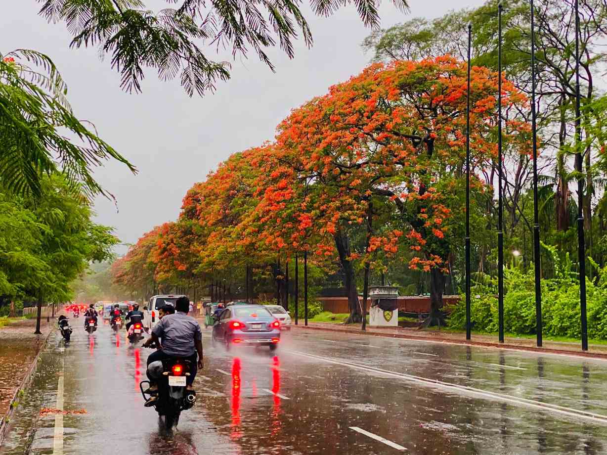 জিয়া উদ্যান সড়ক। চন্দ্রিমা উদ্যান। ঢাকা বাংলাদেশ।🇧🇩