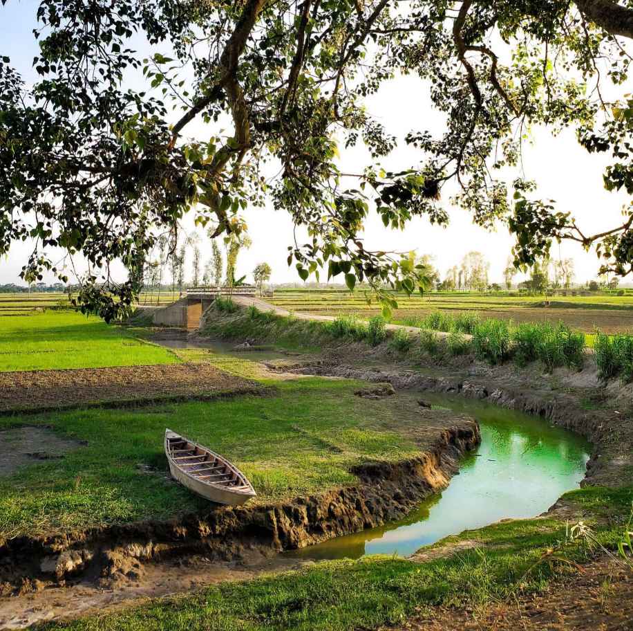 গ্রাম বাংলা সুন্দর দৃশ্য।