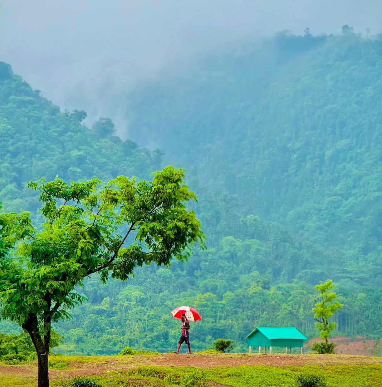 শ্রীপুর, জাফলং রোড, সিলেট, বাংলাদেশ। 🌿
#foryouシ #Sylhet #photography #Sreepur