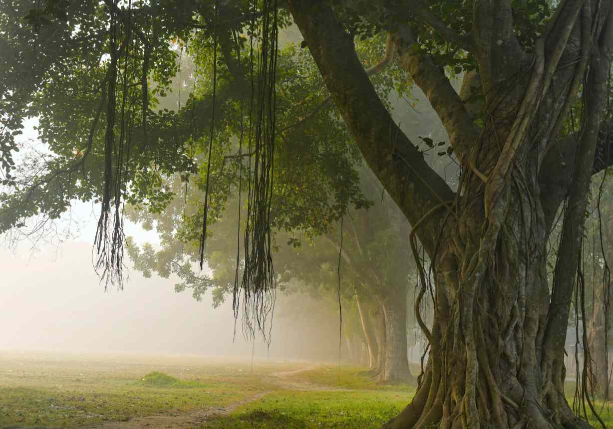 প্রকৃতির শূন্যতার সৌন্দর্য।❤️