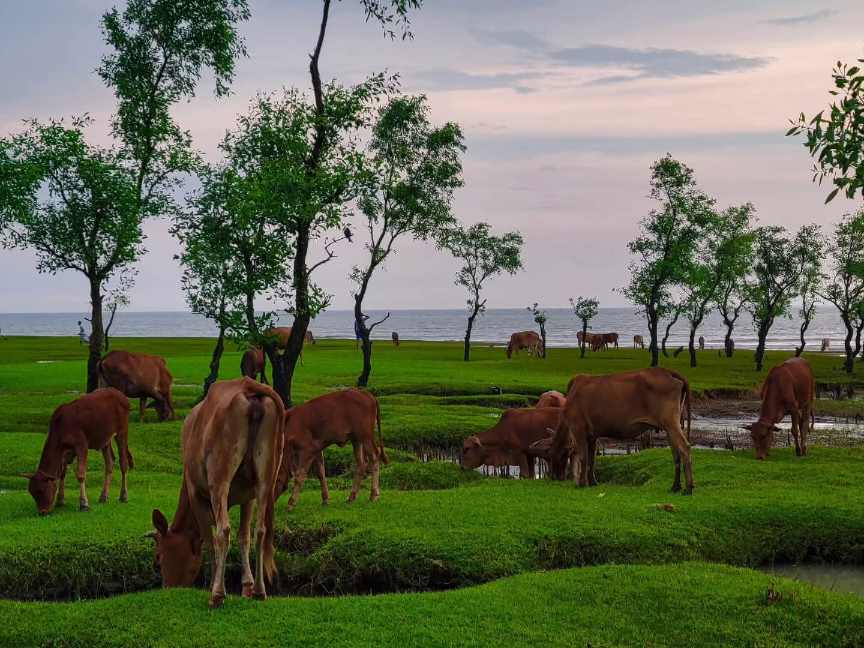 সীতাকুণ্ড সমুদ্র সৈকতের সুন্দর দৃশ্য।