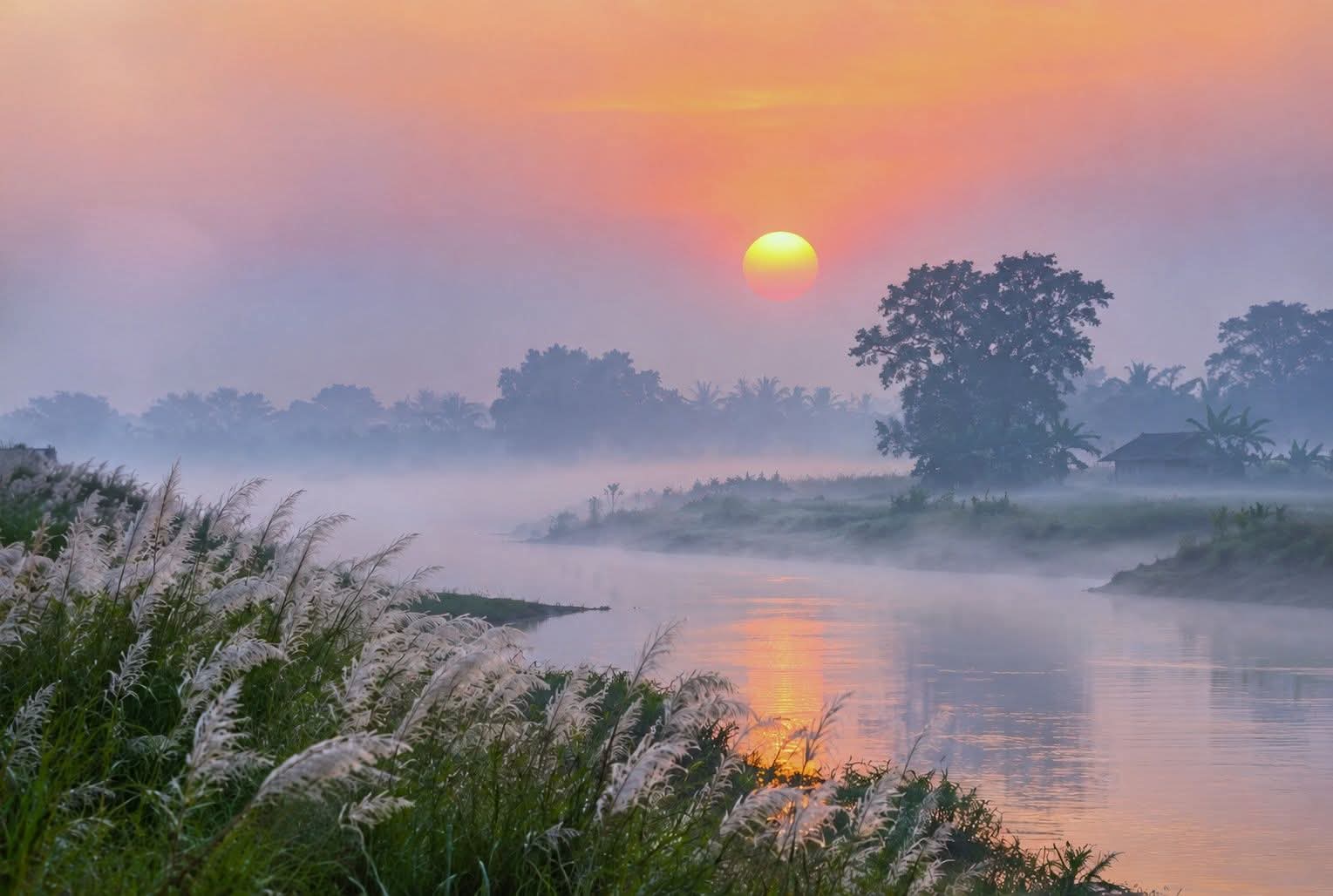 কাশফুলের শুভ্রতায় আর কুয়াশার স্নিগ্ধতায় শীতের আগমন।