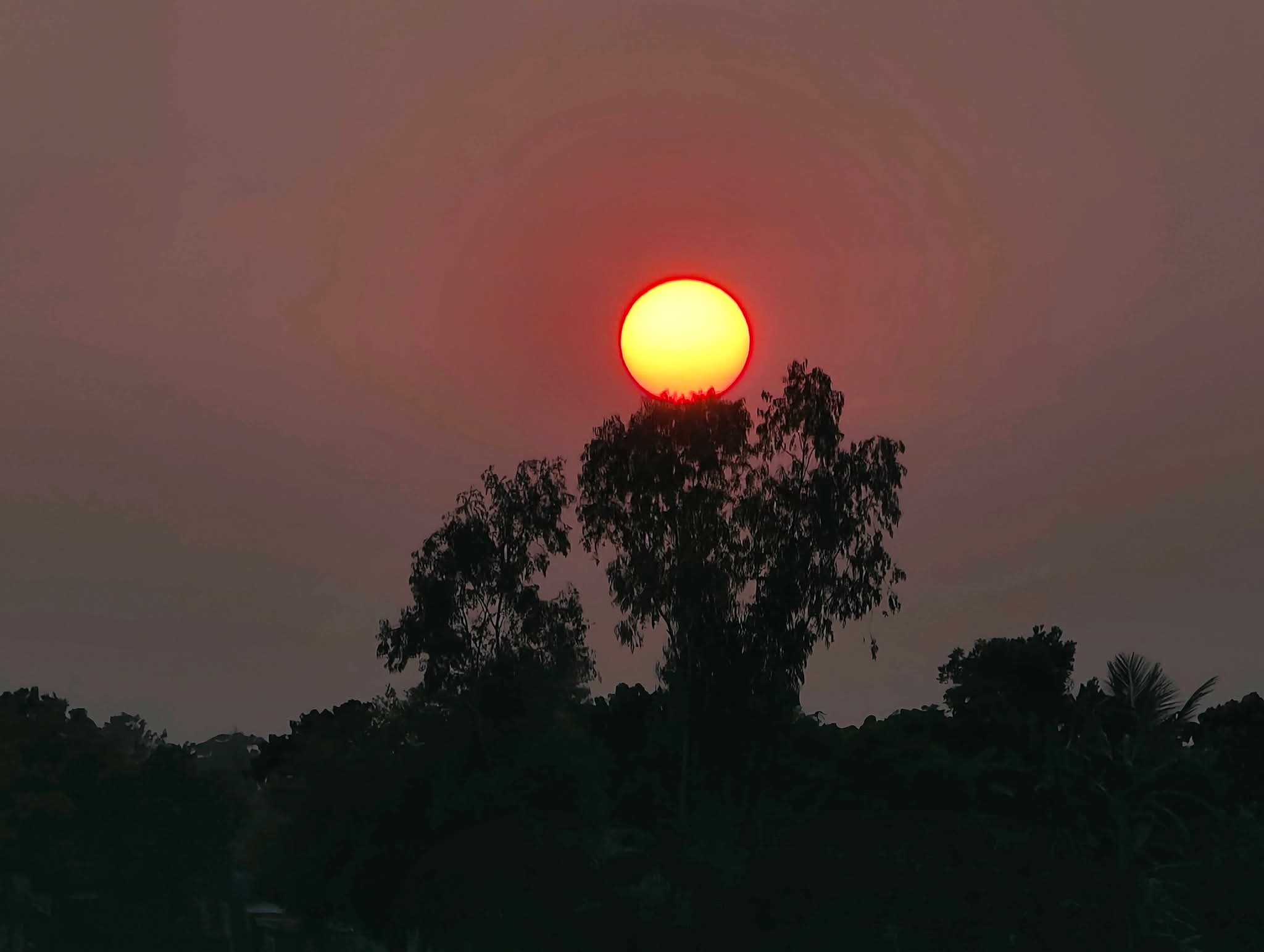 তোমার সাথে এখনো একটা সূর্যাস্থ দেখা বাকি,
তোমার সাথে গোটা একটা জীবন কাটানো বাকি।💙