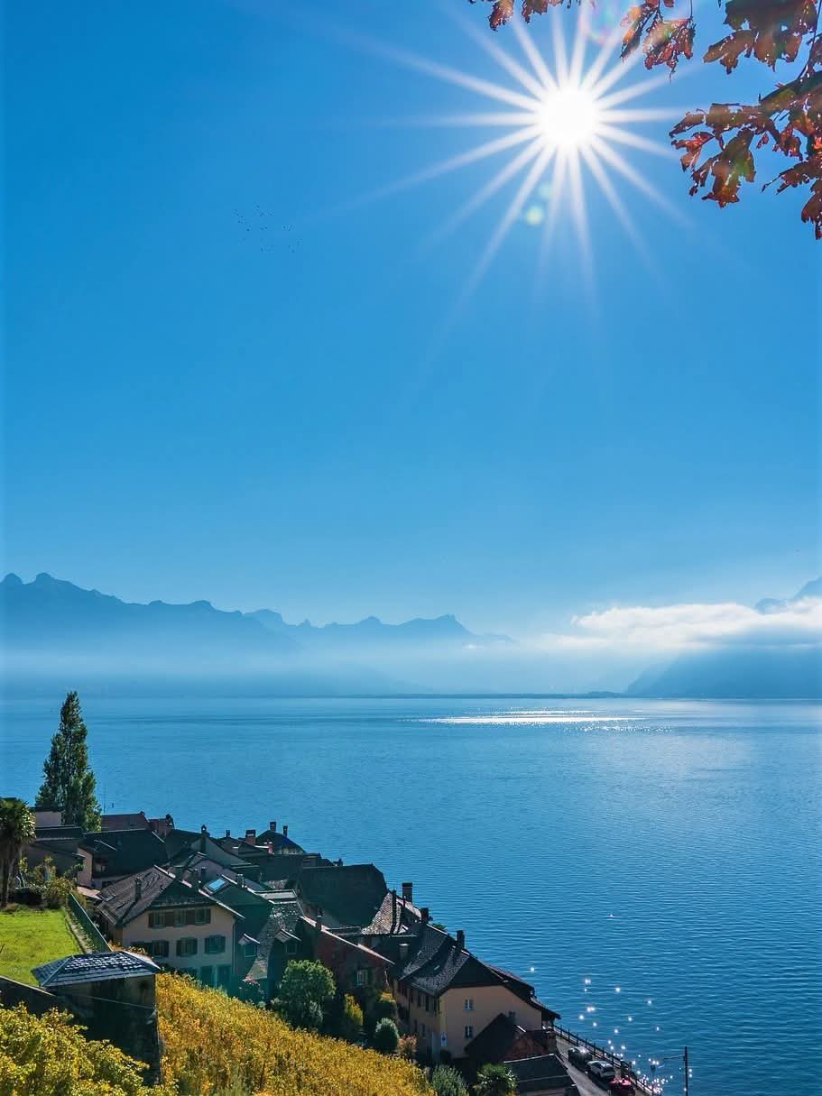 Lavaux-Switzerland.