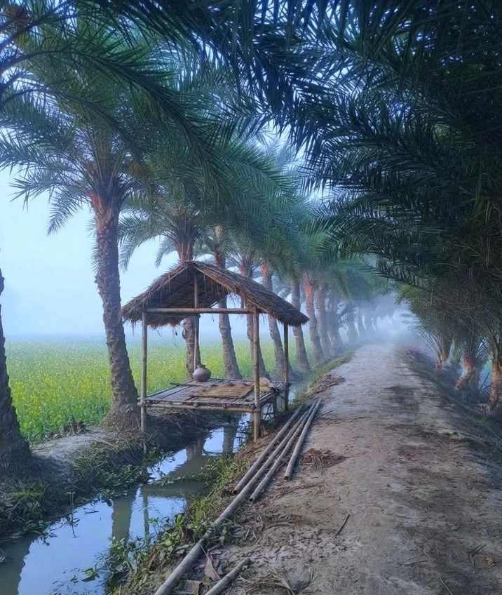 শীতের অপেক্ষা শেষ হলেই শুরু হবে খেজুরের রসের মিষ্টি সকাল।
