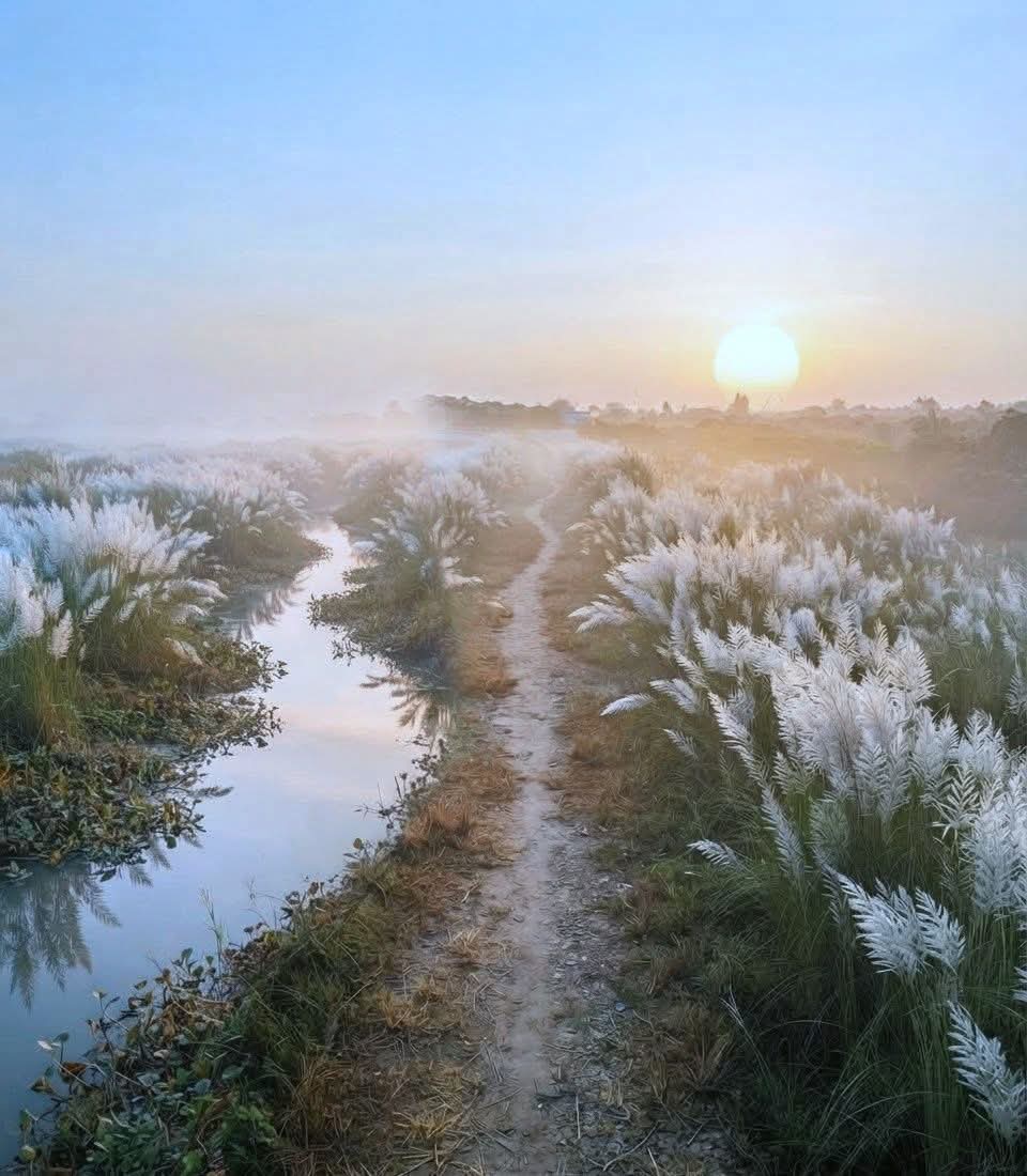 শুভ্রতার এমন আবেশে গ্রামবাংলা বারবার মুগ্ধ করে।