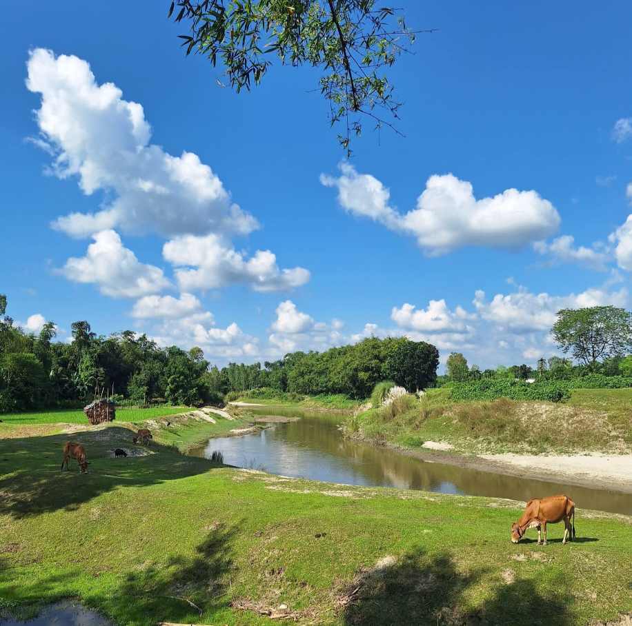 শরৎ  আকাশের  শুভ্র মেঘ, শান্ত বহমান বুড়িখোড়া নদী। 🌱☺️🌱 লক্ষীচাপ,  নীলফামারী,  বাংলাদেশ।