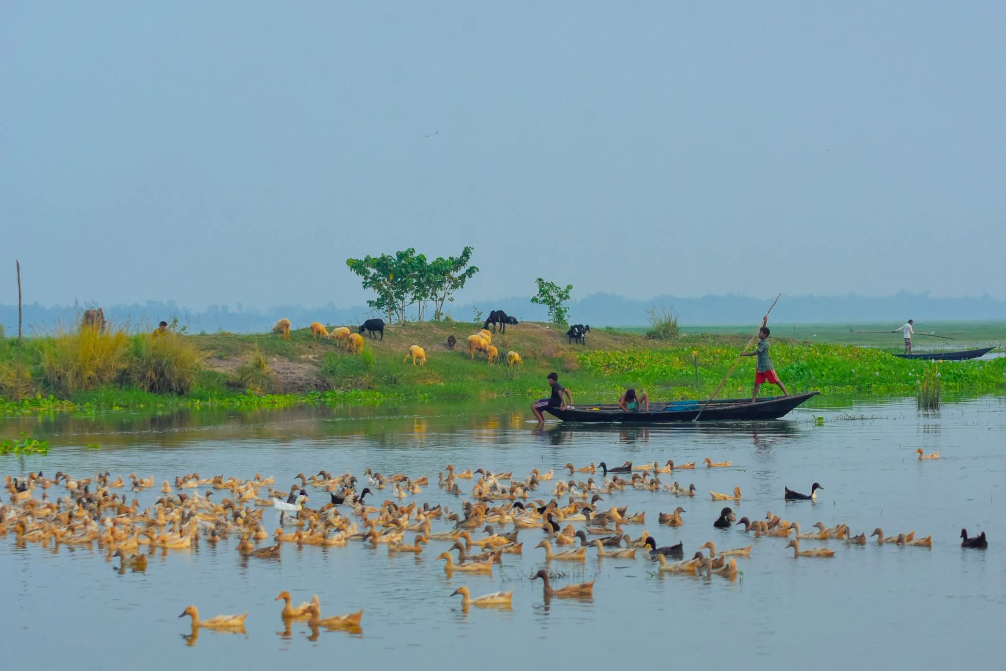 রূপসী বাংলার জলছবির সুন্দর দৃশ্য।