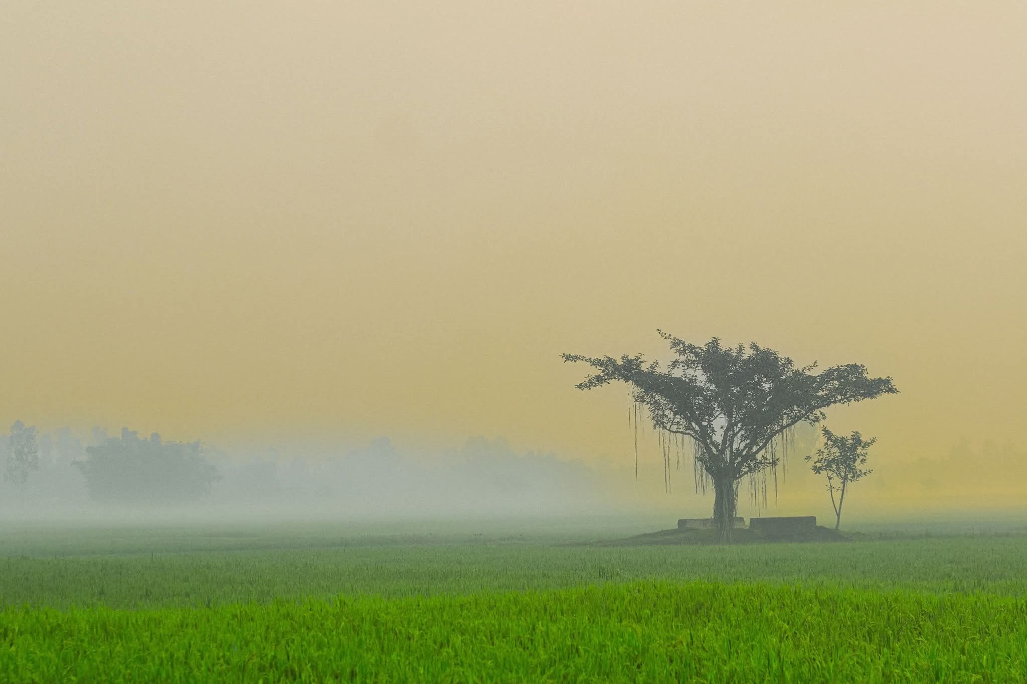 শীতের আগমন...🥶
রংপুর, বাংলাদেশ।🇧🇩