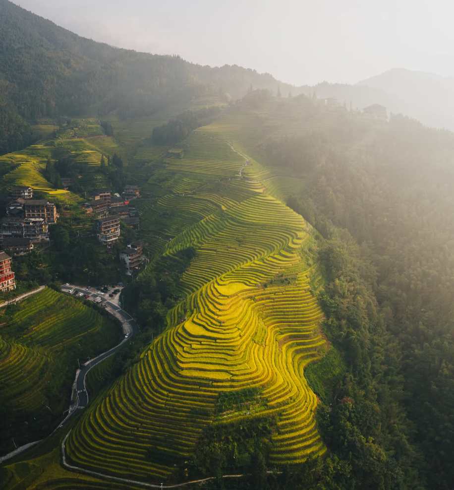 Rice terraces carved into the mountains of China 😯