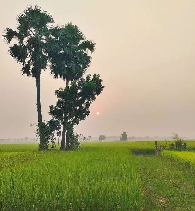 গ্রামের এই প্রকৃতি যেন এক পরম মমতা।