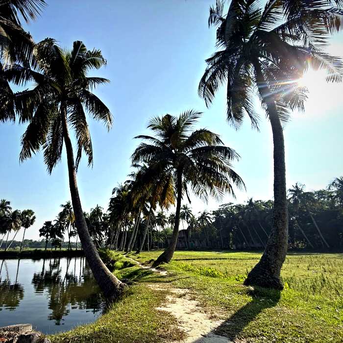 রহমানের দ্বীপ
হাজীগঞ্জ, চাঁদপুর, বাংলাদেশ।🇧🇩