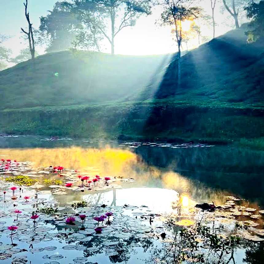 ভোরের আলোর সুন্দর দৃশ্য।🌱☀️
#beautiful #morning #nature #naturebeauty